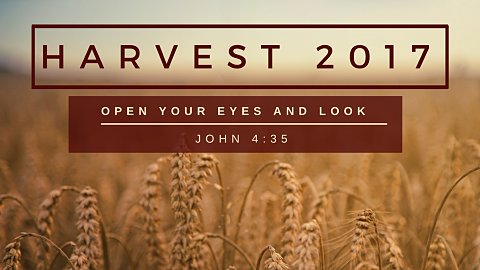 Harvest 2017