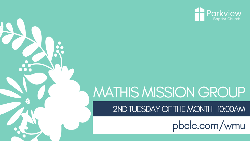 mathis mission group